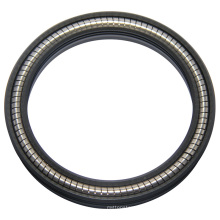 Bronze Filled PTFE Spring Energized Seals for Mechanical Parts
